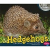 Hedgehogs (Paperback) - Mary R Dunn Photo