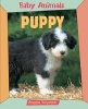 Puppy (Paperback, New edition) - Angela Royston Photo