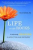 Life on the Rocks - Finding Meaning in Addiction Recovery (Paperback) - Peg OConnor Photo