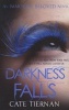 Darkness Falls (Paperback) - Cate Tiernan Photo