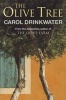 The Olive Tree - A Personal Journey Through Mediterranean Olive Groves (Paperback) - Carol Drinkwater Photo