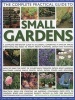 The Complete Practical Guide to Small Gardens - Practical Ideas for Creating 160 Inspiring Containers from Pots to Window Boxes and Hanging Baskets, Shown in Over 2000 Beautiful Photographs and Illustrations (Paperback) - Peter McHoy Photo