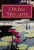 Divine Treasures - Selected Thoughts on Sanatana Dharma Hinduism (Paperback) - S Ramakrishnan Photo