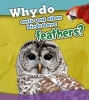 Why Do Owls and Other Birds Have Feathers? (Hardcover) - Holly Beaumont Photo