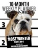 Most Wanted Bulldog 2017-2018 Weekly Planner - 16 Month - Large (11 X 8.5-Inches) Daily Diary Monthly Yearly Calendar (Paperback) - Ironpower Publishing Photo