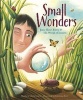 Small Wonders - Jean-Henri Fabre and His World of Insects (Hardcover) - Matthew Clark Smith Photo