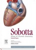 Sobotta Atlas of Anatomy, Volume 2 - Internal Organs (English, Latin, Hardcover, 15th Revised edition) - Friedrich Paulsen Photo