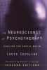 The Neuroscience of Psychotherapy - Healing the Social Brain (Hardcover, 2nd Revised edition) - Louis Cozolino Photo