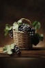 Basket of Grapes Journal - 150 Page Lined Notebook/Diary (Paperback) - Cool Image Photo