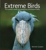 Extreme Birds - The World's Most Extraordinary and Bizarre Birds (Paperback) - Dominic Couzens Photo