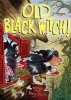 Old Black Witch! (Hardcover) - Wende Devlin Photo