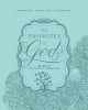 The Promises of God Bible for Creative Journaling (Leather / fine binding) - Passio Photo