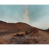 David T. Hanson - Wilderness to Wasteland (Hardcover) - David Hanson Photo