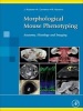 Morphological Mouse Phenotyping - Anatomy, Histology and Imaging (Hardcover) - Jesus Ruberte Photo