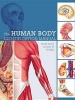 Human Body Identification Manual - Your Body and How It Works (Hardcover) - Ken Ashwell Photo