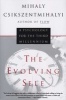 The Evolving Self - A Psychology for the Third Millennium (Paperback) - Mihaly Csikszentmihalyi Photo