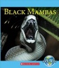 Black Mambas (Hardcover) - Vicky Franchino Photo