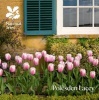 Polesden Lacey, Surrey - National Trust Guidebook (Paperback) - Simon Akeroyd Photo