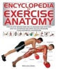 Encyclopedia of Exercise Anatomy (Paperback, annotated edition) - Hollis Liebman Photo