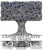 Landscape Plants of Arabia (Hardcover, 1st) - Julian Lee Photo