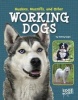 Huskies, Mastiffs, and Other Working Dogs (Hardcover) - Tammy Gagne Photo