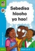 Sebedisa Hlooho Ya Hao, Book 6 - Gr 3: Reader (Sotho, Southern, Book) - B Coombe Photo