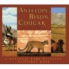 Antelope, Bison, Cougar - A National Park Wildlife Alphabet Book (Hardcover, and and) - Daniel San Souci Photo