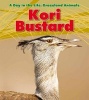 Kori Bustard (Paperback) - Louise Spilsbury Photo