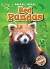 Red Pandas (Hardcover) - Megan Borgert Spaniol Photo