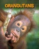 Orangutans (Paperback) - Buffy Silverman Photo