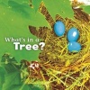 What's in a Tree? (Paperback) - Martha E Rustad Photo