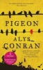 Pigeon (Paperback) - Alys Conran Photo