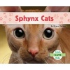 Sphynx Cats (Hardcover) - Grace Hansen Photo