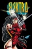 Elektra by Peter Milligan,  & Mike Deodato Jr.: the Complete Collection (Paperback) - Larry Hama Photo