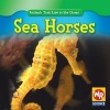 Sea Horses (Hardcover) - Valerie J Weber Photo