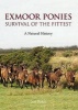 Exmoor Ponies Survival of the Fittest - A Natural History (Hardcover) - Sue Baker Photo