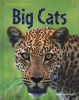 Big Cats (Hardcover, New edition) - Jonathan Shiekh Miller Photo