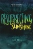 Resurrecting Sunshine (Hardcover) - Lisa Koosis Photo