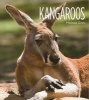 Kangaroos (Paperback) - Melissa Gish Photo