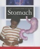 Take a Closer Look at Your Stomach (Hardcover) - Jane P Gardner Photo