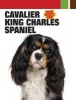 Cavalier King Charles Spaniel (Hardcover) - Dog Fancy Magazine Photo