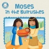 Moses in the Bulrushes (Paperback) - Karen Williamson Photo