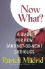 Now What? - A Guide for New (and Not-So-New) Catholics (Paperback) - Patrick Madrid Photo