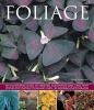 Foliage (Paperback) - Bryan Greenwood Photo