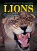 Lions and Other Mammals (Hardcover) - Andrew Solway Photo