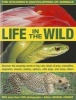 The Children's Encyclopedia of Animals: Life in the Wild - Discover the Amazing World of Big Cats, Birds of Prey, Crocodiles, Elephants, Insects, Spiders, Snakes, Wild Dogs, and Many Others (Paperback) - Michael Chinery Photo