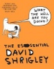 What the Hell are You Doing? - The Essential  (Paperback, Main) - David Shrigley Photo