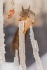 Red Squirrel Is an Ice Climber Journal - 150 Page Lined Notebook/Diary (Paperback) - Cool Image Photo