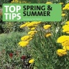 Top Tips for Spring and Summer (CD) - Tom Petheric Photo