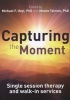 Capturing the Moment - Single-session therapy and walk-in services (Hardcover) - Michael F Hoyt Photo